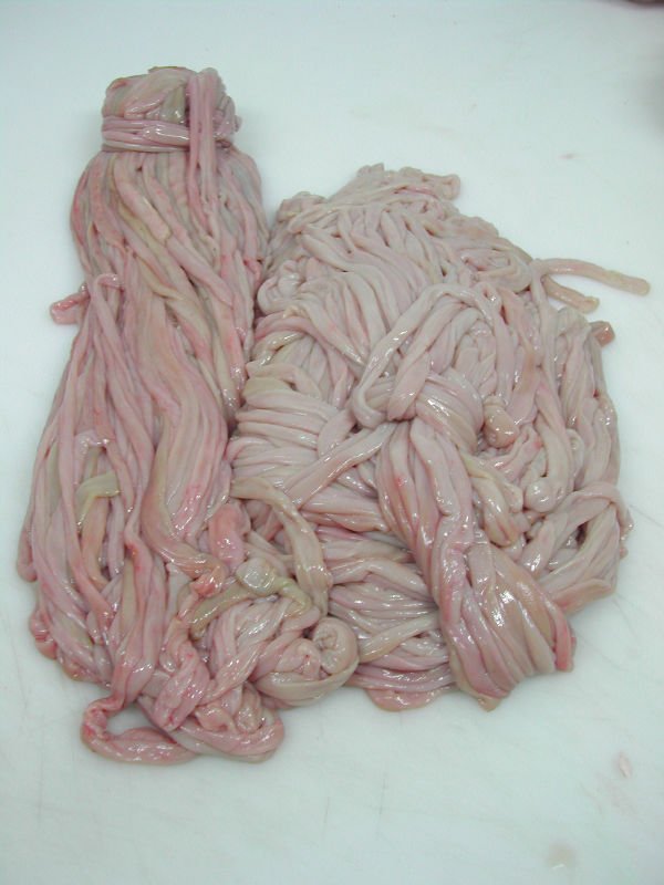 stintine_di_agnello